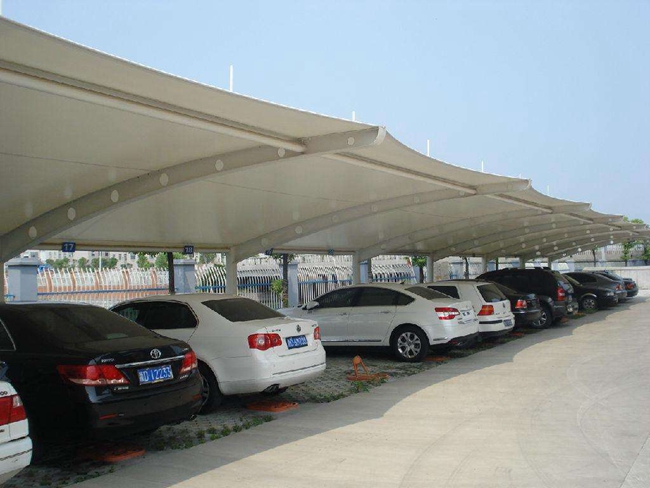 1533549481661344.jpg 1533549481661344.jpg