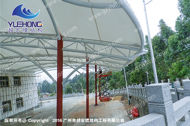 1595313026587064.jpg 1 (3).jpg